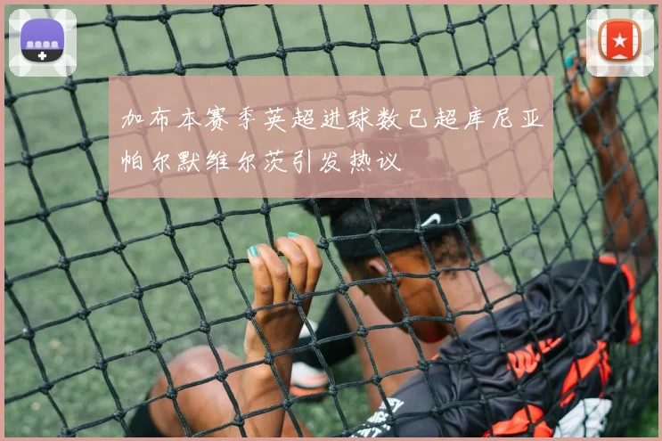 加布本赛季英超进球数已超库尼亚帕尔默维尔茨引发热议