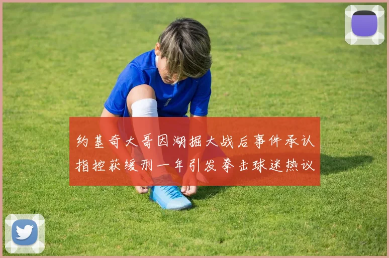 约基奇大哥因湖掘大战后事件承认指控获缓刑一年引发拳击球迷热议